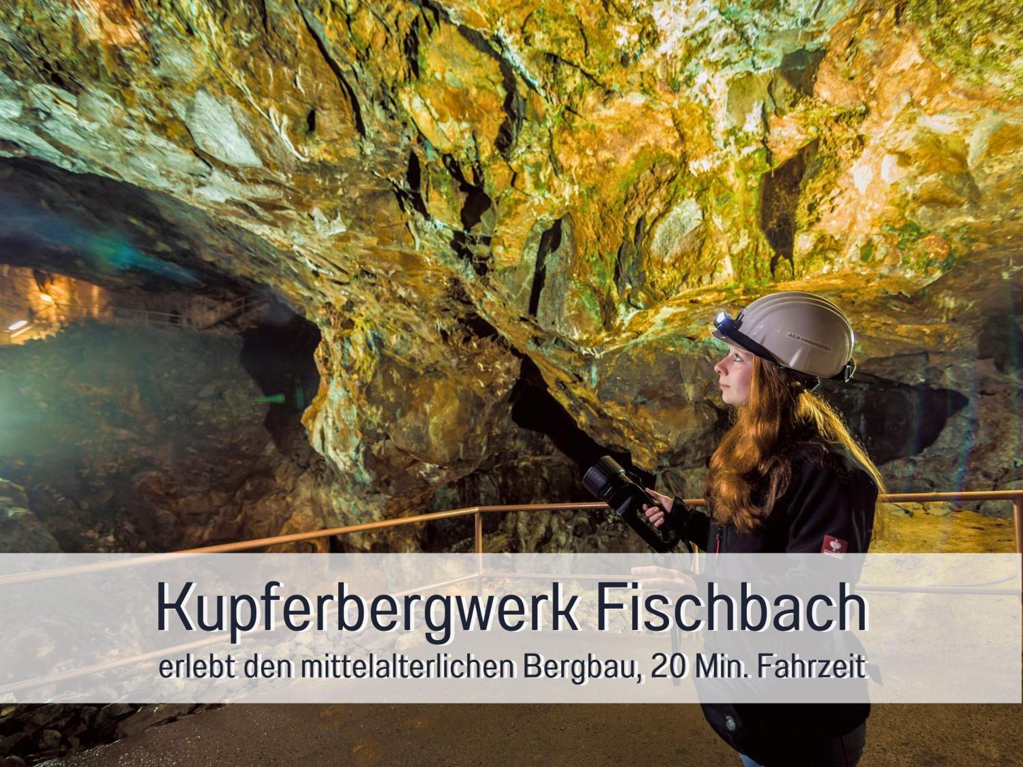 Natur-Chalet Zum Nationalpark Marie-Luise Inkl E-Auto Allenbach Exteriör bild