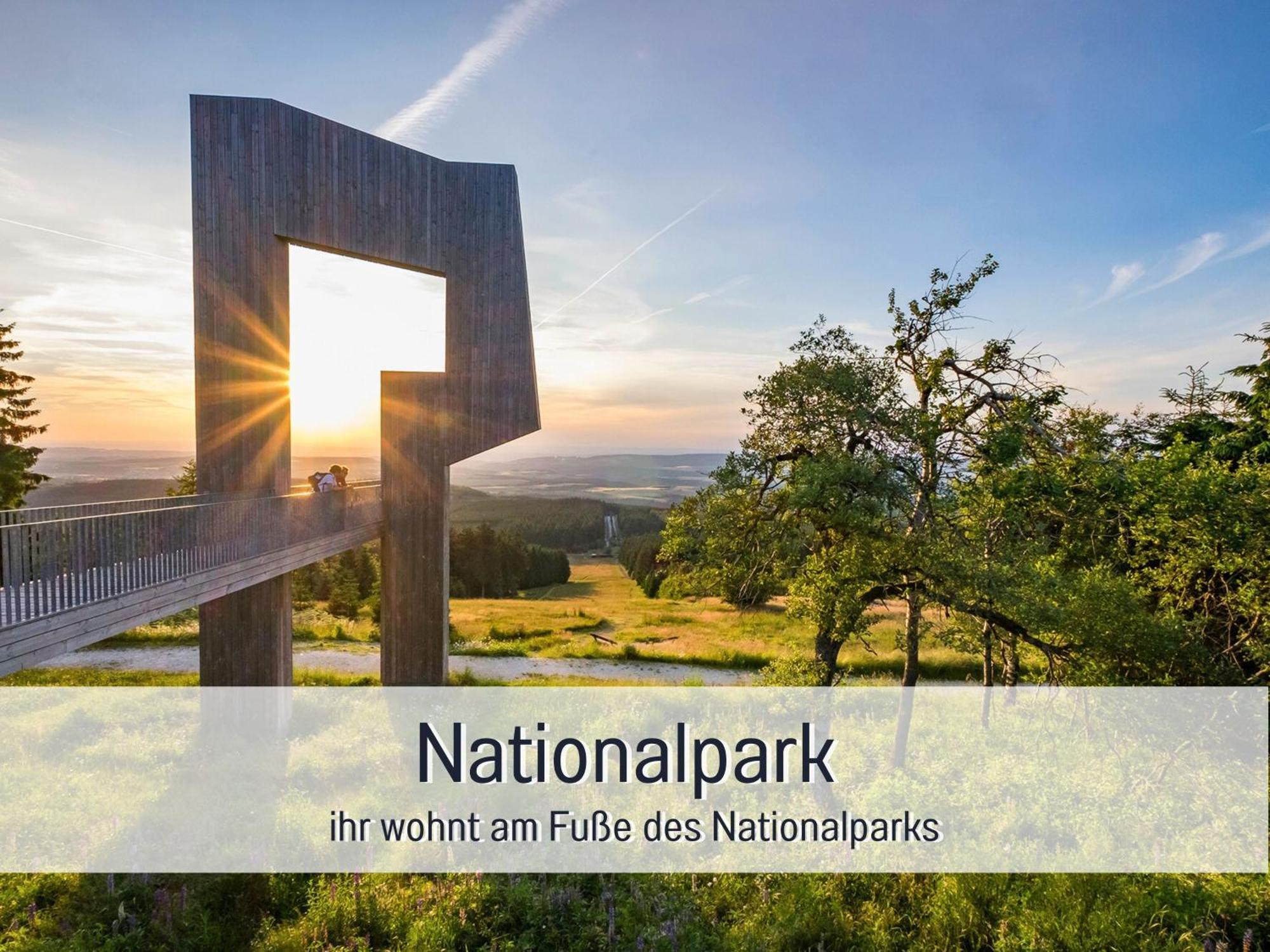 Natur-Chalet Zum Nationalpark Marie-Luise Inkl E-Auto Allenbach Exteriör bild